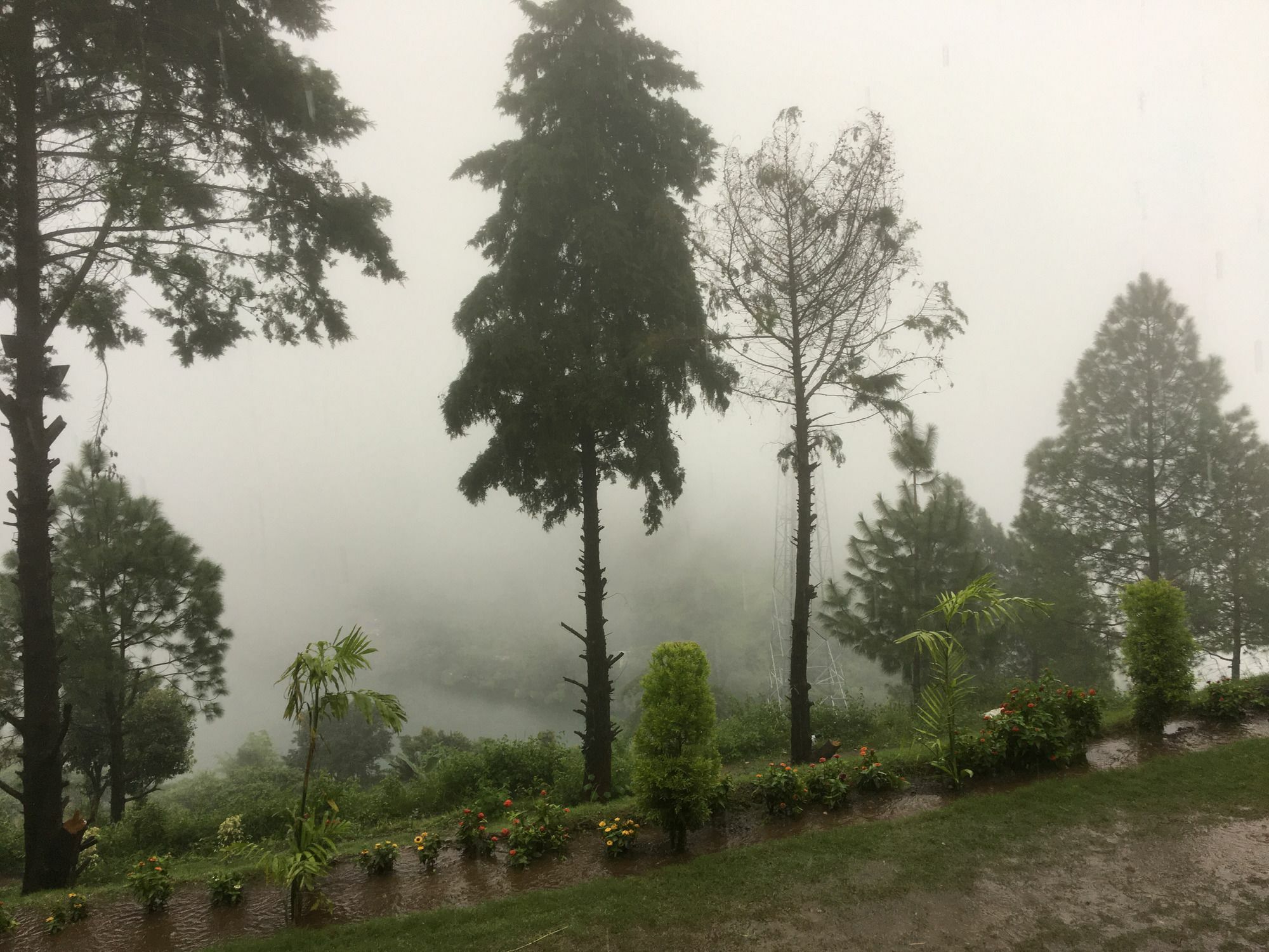 奈尼塔尔探险乐园度假村 外观 照片